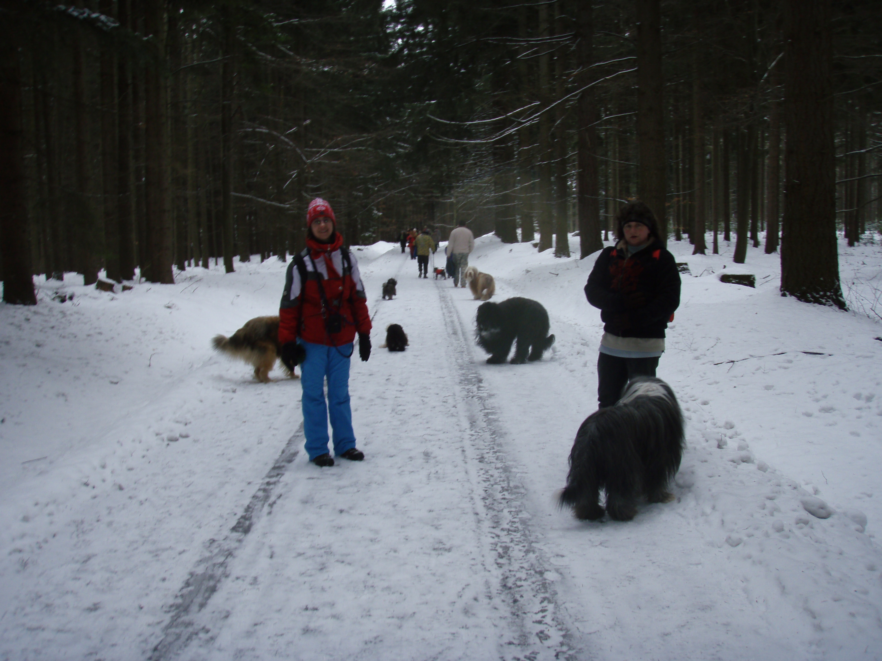 Javořice2010,3
