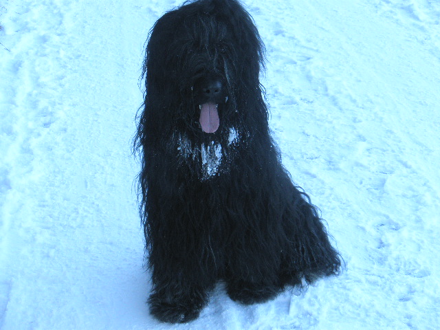 Javořice 2011,3