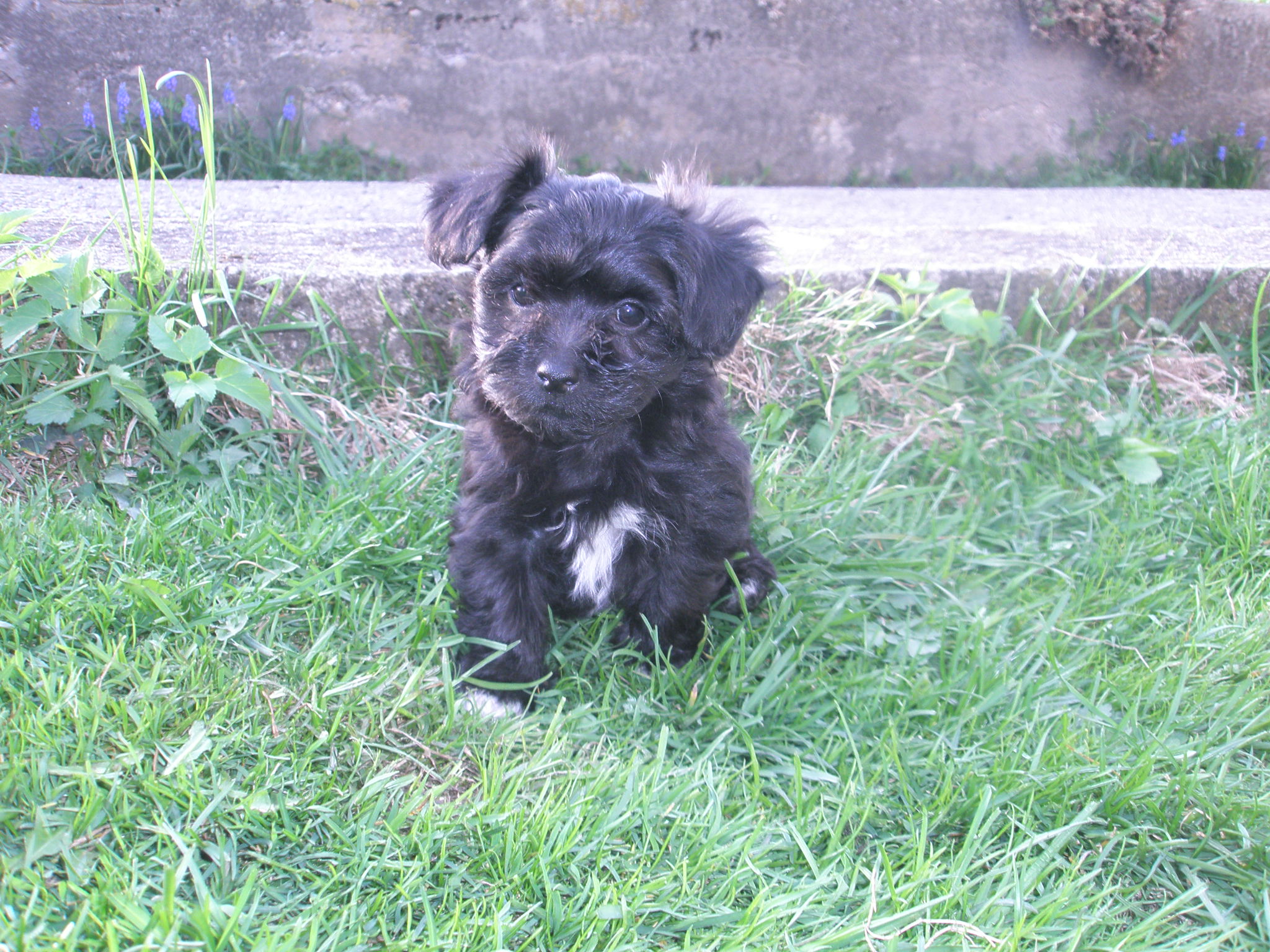 Eliot1