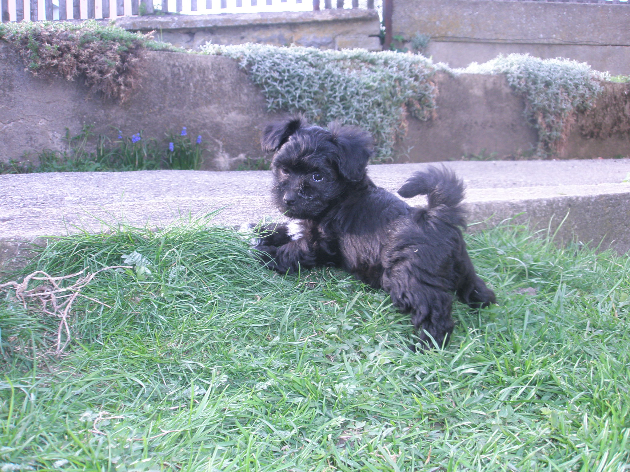 Eliot2