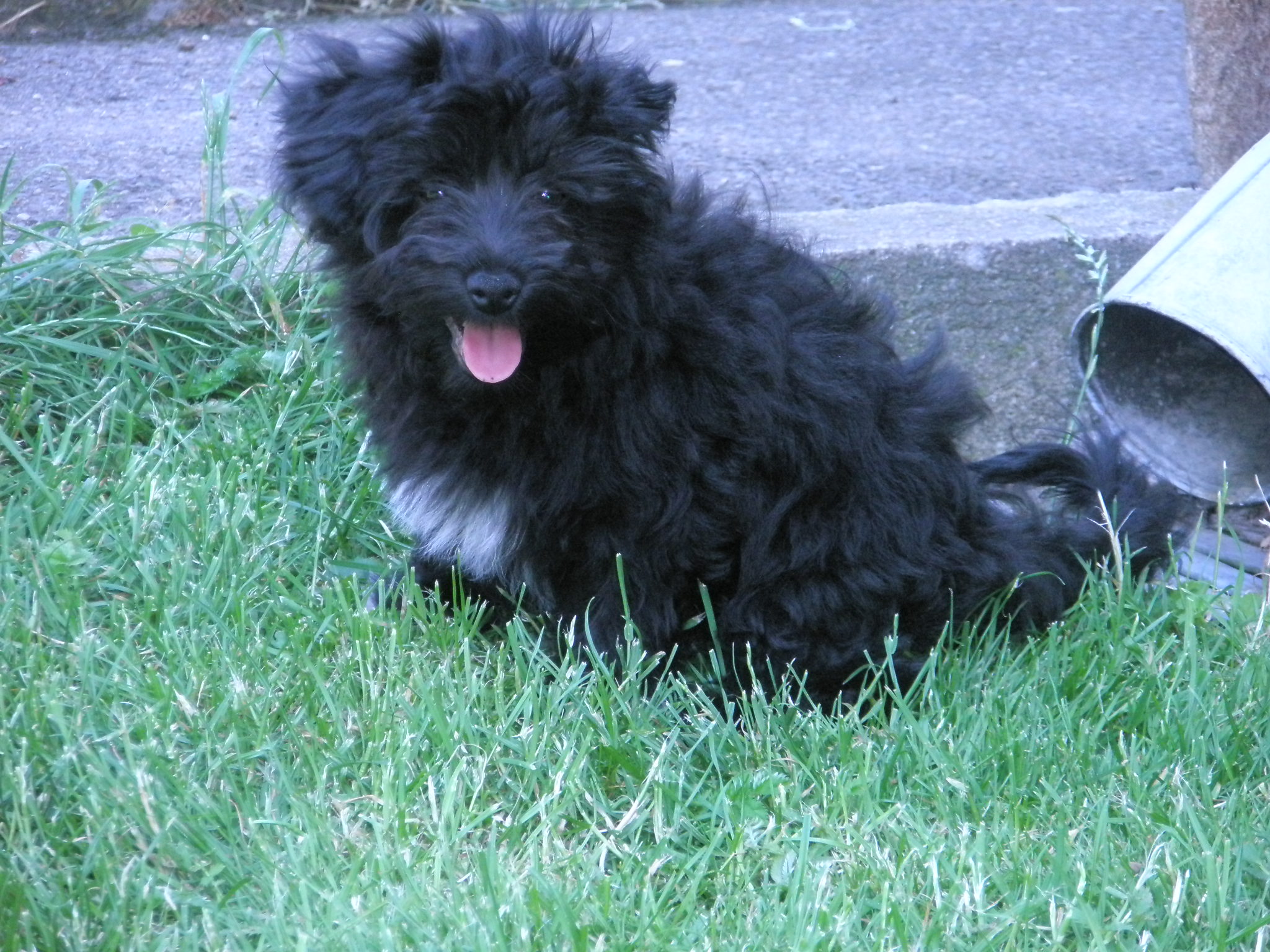 Eliot5