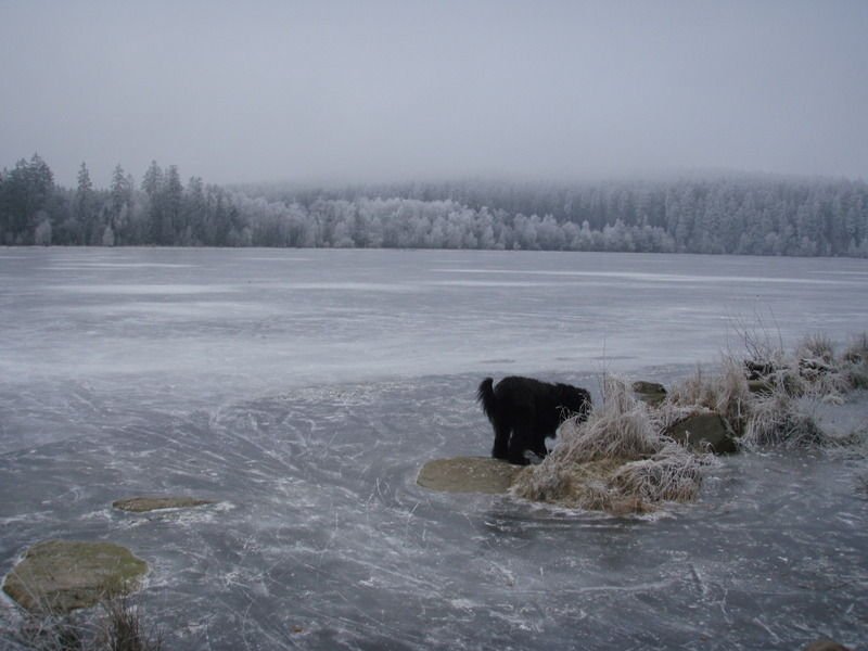 Javořice 2008,3