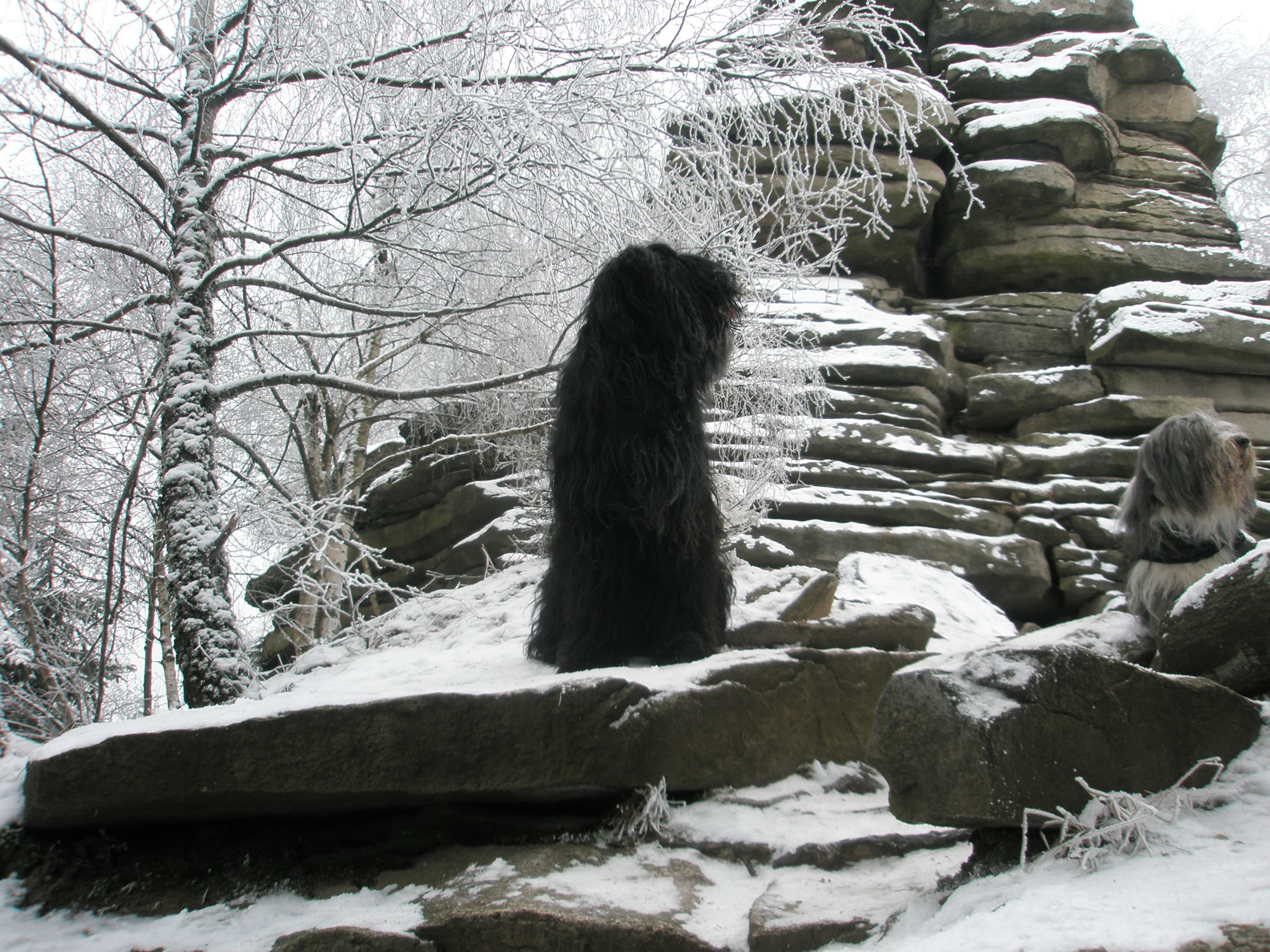 Javořice 2009,1