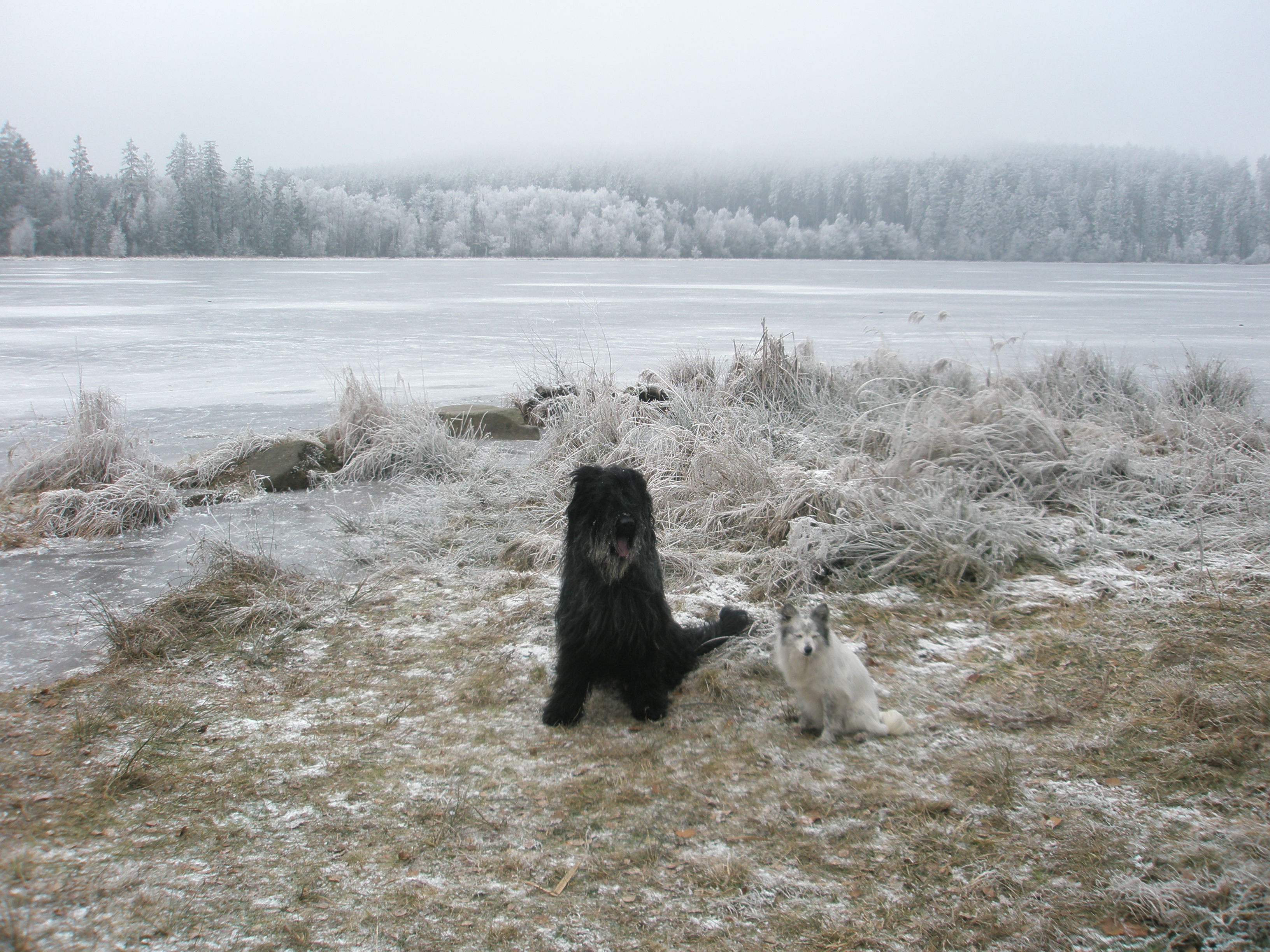 Javořice 2009,5